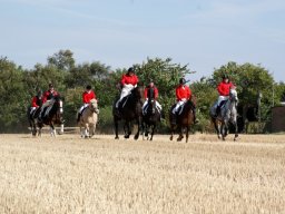 292013_10151090368758585_295508429_n